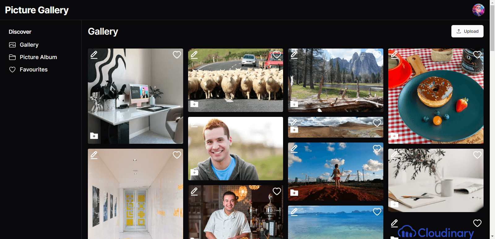 Head Short of Photo Gallery